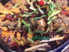 -老板恋上鱼(恒隆广场店)