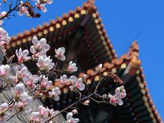 -东华门大街小区