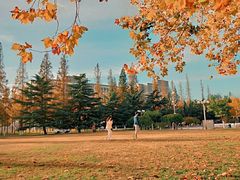 -大连理工大学(凌水校区)