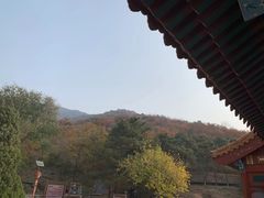 -大岭沟猕猴桃谷风景区