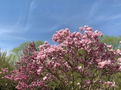 -永定河休闲森林公园