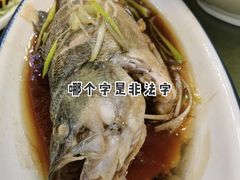 特价鲈鱼-桃子餐厅·天津菜(红星路直营店)