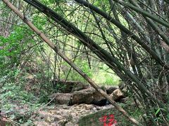 -大雁山风景区