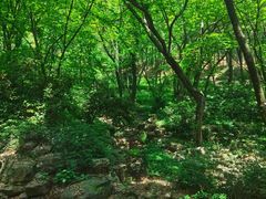 -孙武文化园-停车场
