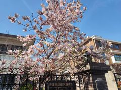 -天津五大道文化旅游区