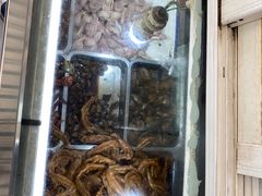 -清真·金宏兴鸭子店(明瓦廊店)