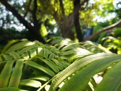 -Chom Cafe and Restaurant