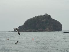 -棒棰岛宾馆景区