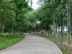 -大兴滨河森林公园