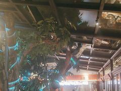 -海岛八号龙虾烧烤田鸡(蓝天路总店)