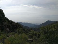 -大岭沟猕猴桃谷风景区