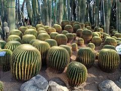 -南山植物园