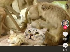-昆明动物园