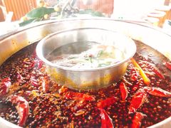 -枇杷园食为鲜火锅(南山店)
