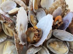 -港畔赶海蒸汽海鲜烧烤自助(仙螺岛店)