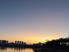 -万绿园