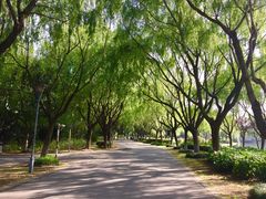 -东华大学(松江校区)