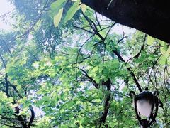-山城巷传统风貌区