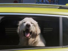 -于记桂林米粉(万福广场店)