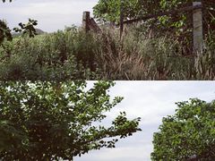 -茂陵博物馆