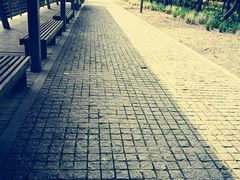 -西湖风景区-江洋畈生态公园