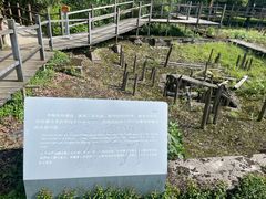 -河姆渡遗址博物馆