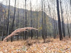 -百里山水画廊