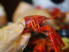 -红钳侠小龙虾·烧烤(中赢康康谷店)