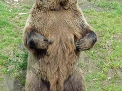 -石家庄市动物园