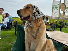 -中国天府农业博览园