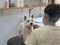 -佐罗家宠物馆·猫文化馆(紫霞路店)