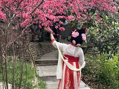 -桃源山庄·水蜜桃采摘·柴火鸡·烧烤团建(龙泉山店)