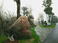 android_upload_pic-艾溪湖湿地公园