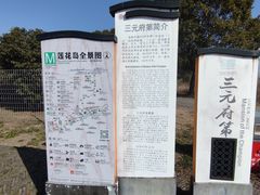 -莲花岛景区