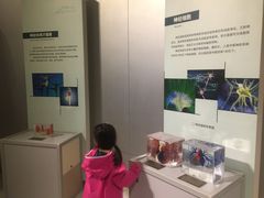 -陕西自然博物馆