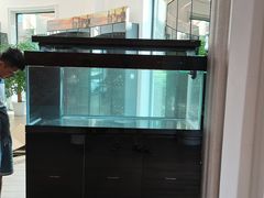 -青石桥花鸟鱼虫市场(叠翠城店)