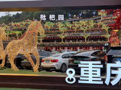 -枇杷园食为鲜火锅(南山店)