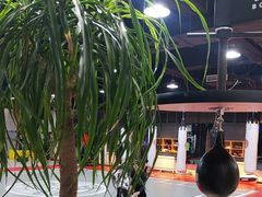 -格斗兄弟搏击健身训练馆(望京店)