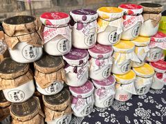 -莫愁村问君老酸奶