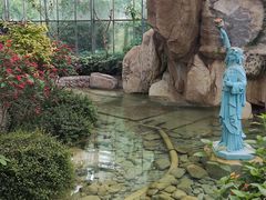 -南宫五洲植物乐园