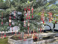 -东山雕花楼