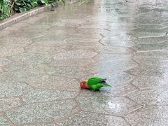 -南宫五洲植物乐园