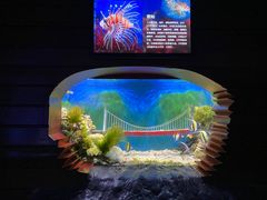 -太平洋海底世界