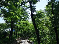 -阳台山自然风景区