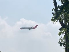-空港花田景区