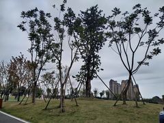 -府河摄影公园