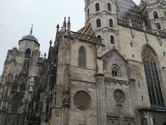 -斯蒂芬主教座堂(Stephansdom)