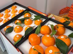 -宁波国际会展中心