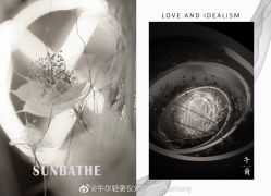 -婚礼美学