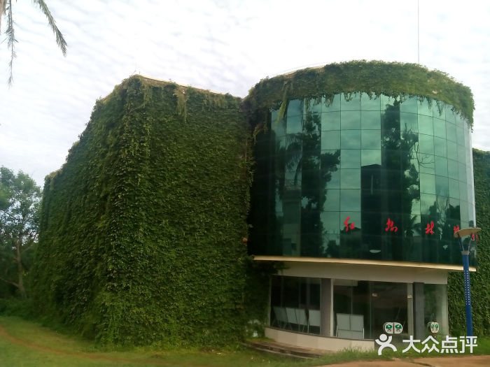 东寨港红树林旅游区景点图片